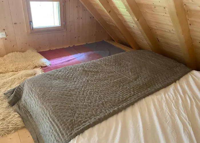 Le Bel Appartement De Montagne