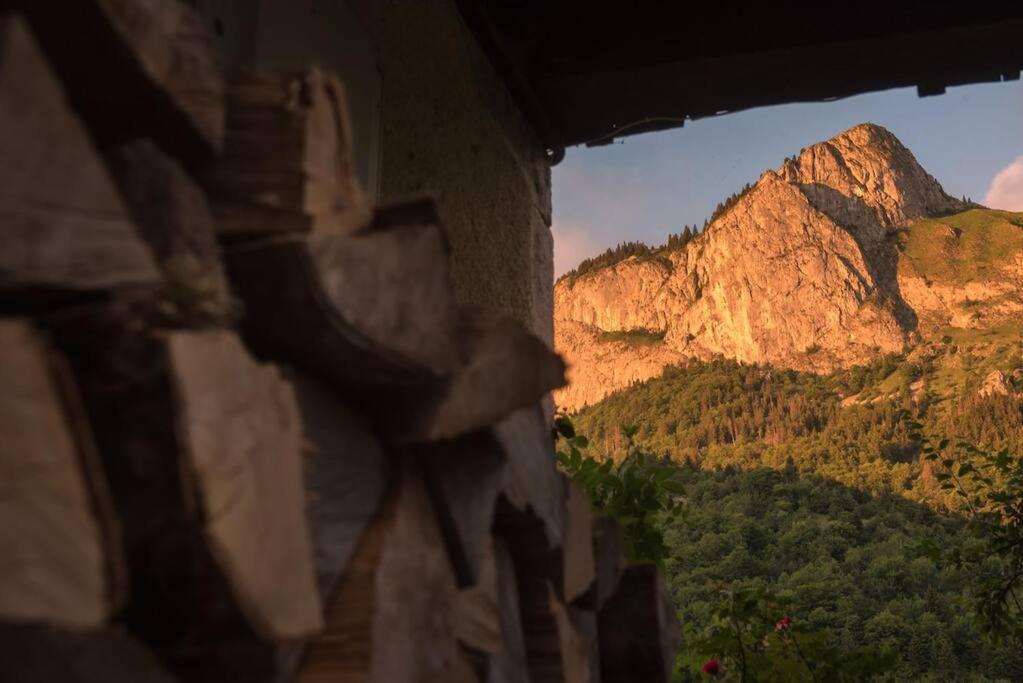 Appartement Le Bel De Montagne *