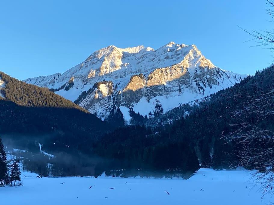 Le Bel De Montagne Apartment *